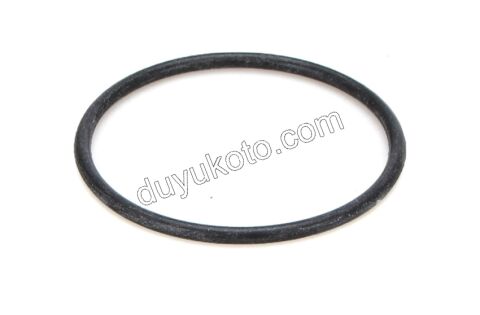 Enjektör Rampası Contası (Oringi)   1.2CC 130HP MARELLI