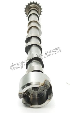 Egzoz Eksantrik Mili DW10FUE