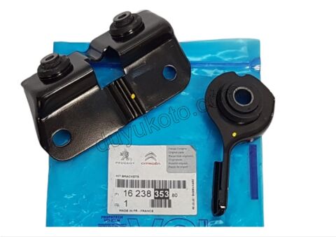 Direksiyon Pompası Bağlantı Ayağı P3071 C41