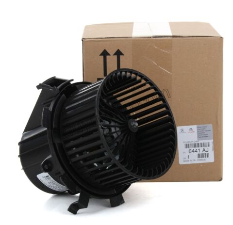 Kalorifer Motoru P407 C53