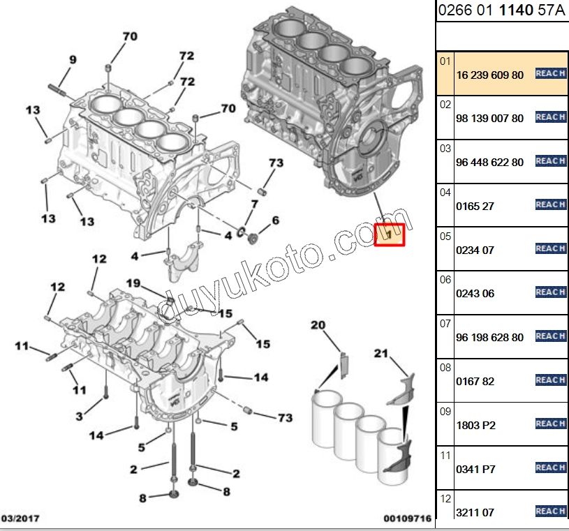 BLOK MOTOR KOMP+PIST 1.5HDİ Euro6