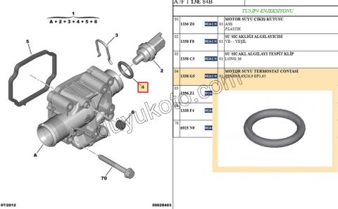 ORING CONTA TERMOSTAT MUSUR DV6