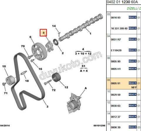 FLANS EKSANTRIK DISLI MIL GOBEK DW8