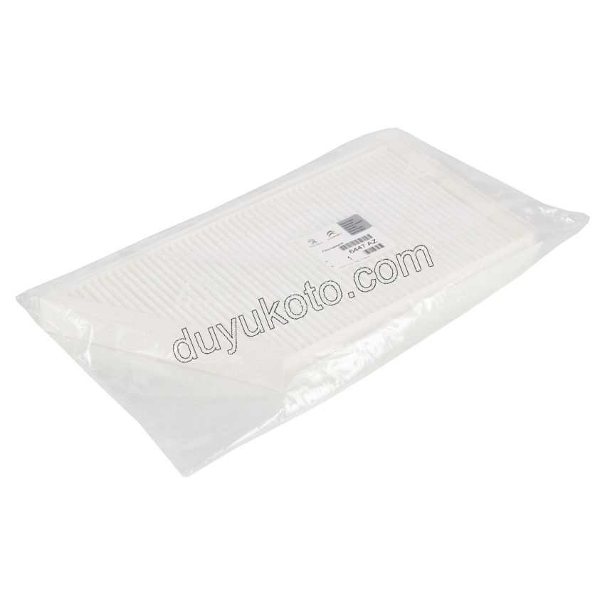 Peugeot 206 Polen Filtresi