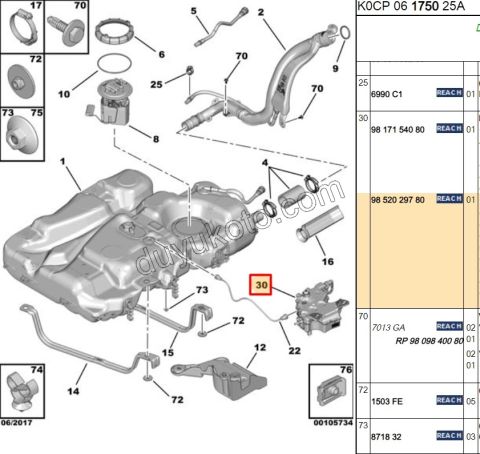 FAP KATKI DEPOSU DW10F EXP4 P30082 C5AIR