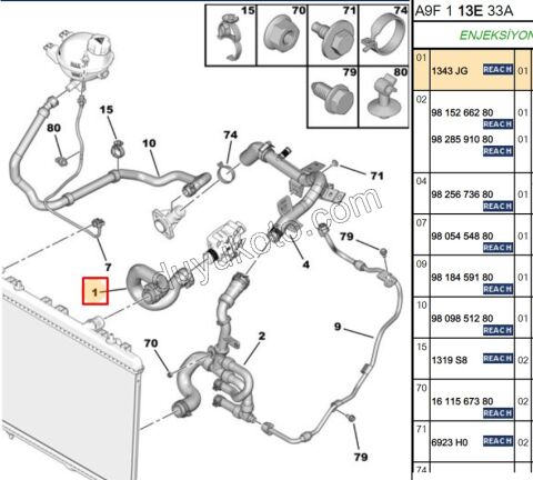 Radyatör Hortumu Üst (Otomatik Vites) EC5 1.6İ 16V Benzinli P301 P208 C31