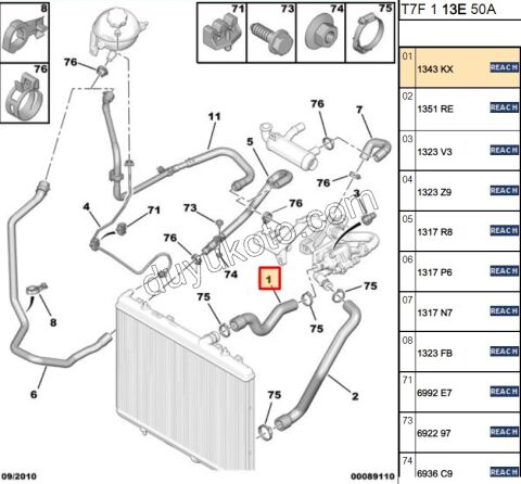 Radyatör Hortumu Üst 1.6HDİ Euro4 P307 PRT3 P50081