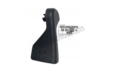 Kaput Açma Mandalı C43