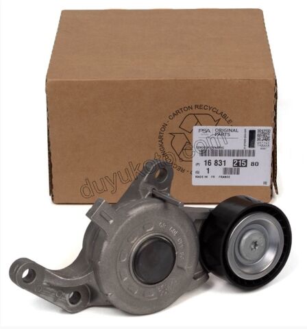 Alternatör (V Kayış) Gergi Rulmanı DW10FD