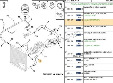 Radyatör Hortumu Alt P206 BENZ