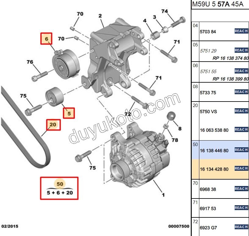 KIT KAYIS ALTER DW10 8V 1613839980 + 1613837480 + 1606353880