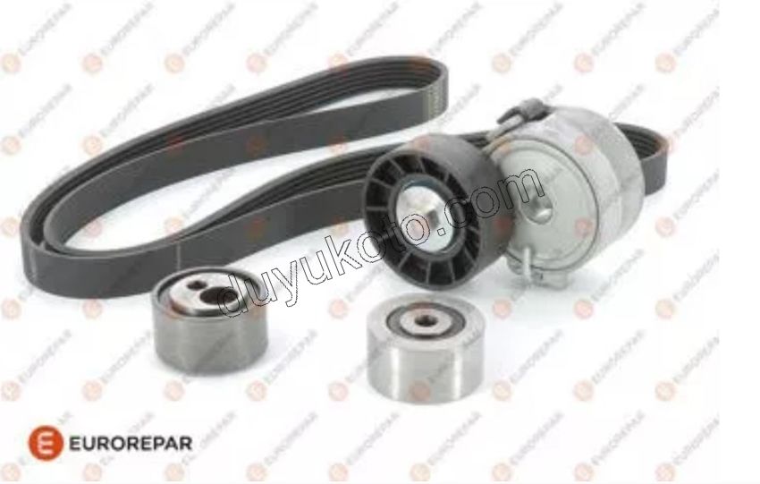 KIT KAYIS ALTER DW10 8V Klimasız 1613839980 +1613837780+ 1613838480