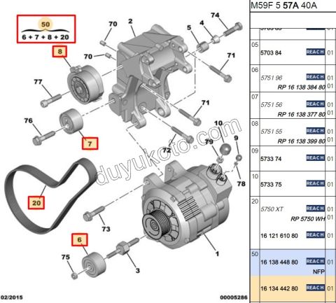 KIT KAYIS ALTER DW10 8V Klimasız 1613839980 +1613837780+ 1613838480