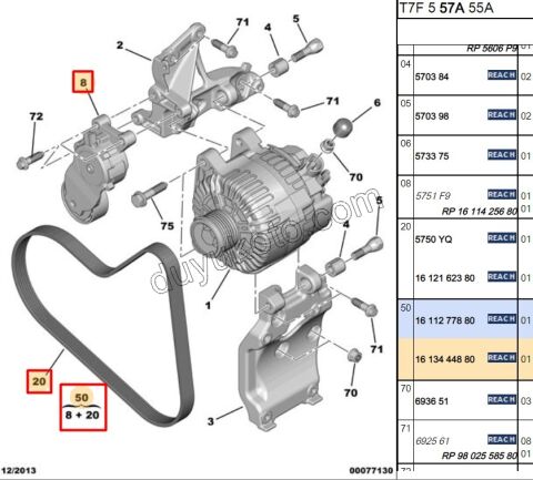 KIT KAYIS ALTER 1.6HDİ Euro4