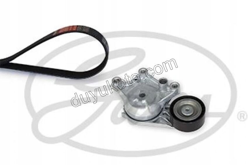 Alternatör V Kayış Kiti (Gergi Kütüklü) 1.6HDİ Euro6