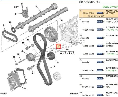 Eksantrik Mili Dişlisi DW10FU