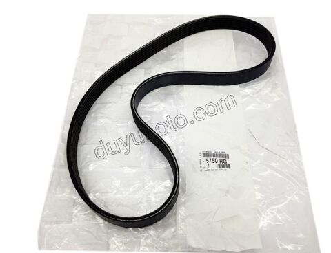 Alternatör V Kayışı 6PK0905 ET3J4 1.6THP 175HP