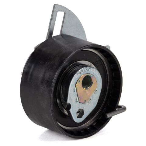 Eksantrik/Triger Gergi Rulmanı DW10FUE