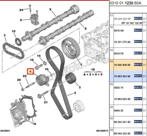 Eksantrik/Triger Gergi Rulmanı DW10FUE