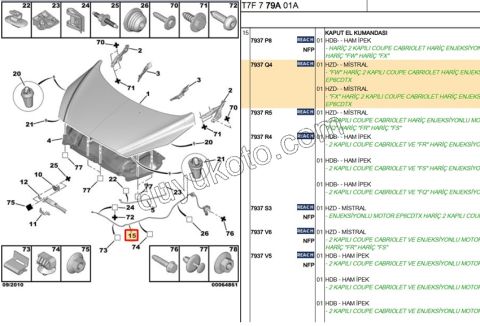 Kaput Açma Kolu ve Teli P3081