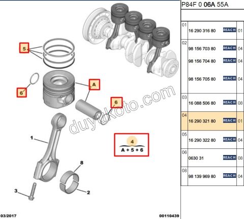 PISTON + SEKMAN STD TK