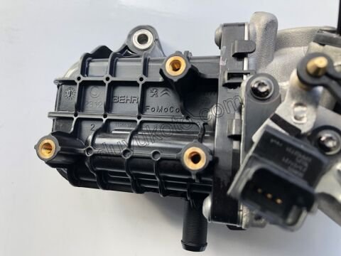 EGR KOMPLE YM BXR3MQ DW12RU