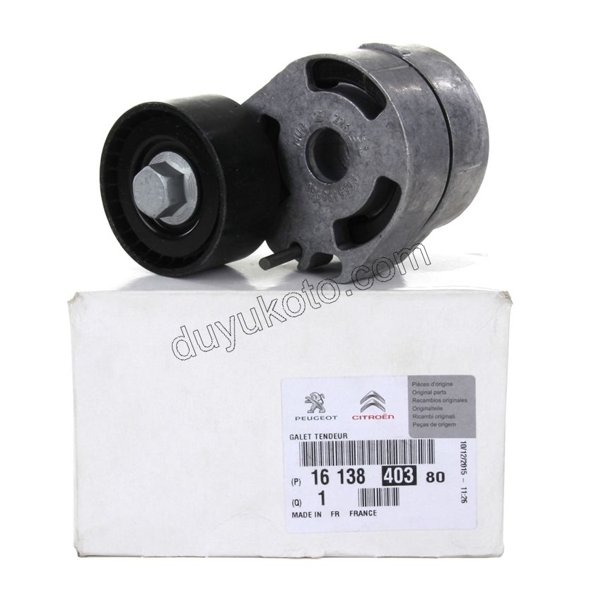 KUTUK RULMAN ALTER 1.4HDİ/1.6HDİ Euro4