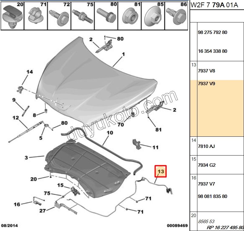 Kaput Açma Kolu ve Teli P5081 KUTUP